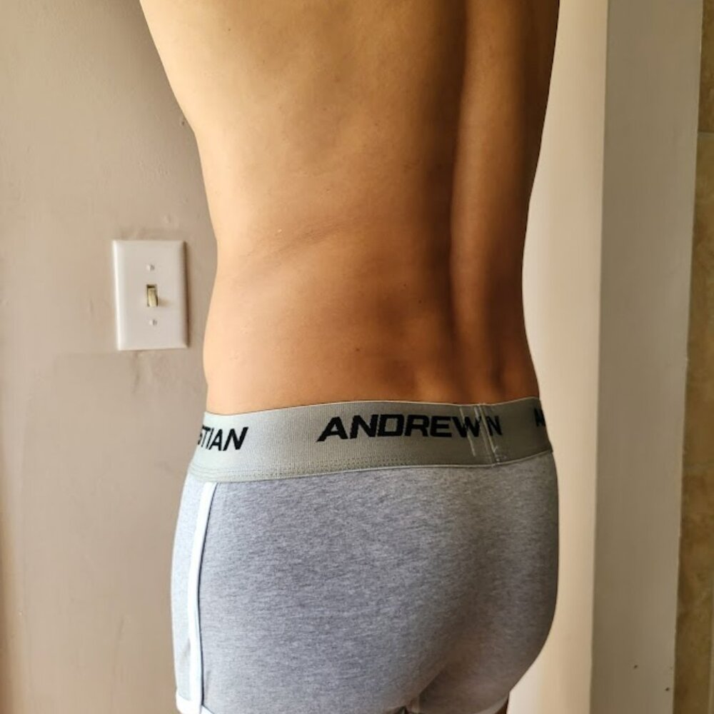 Andrew Christian Vintage Boxer Briefs Trunks Large Gray NEW - Picture 7 of 8